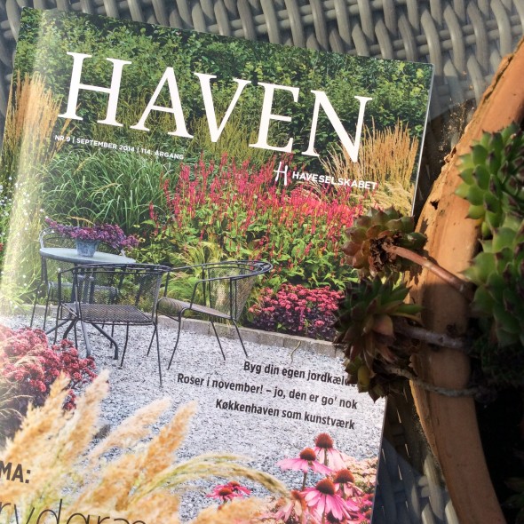 Haven